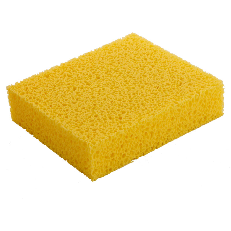 海绵